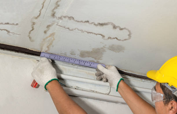 Reliable Mold Remediation contractor in Highland Lakes, NJ by Water Damage Irwin